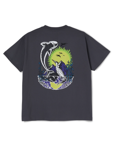 Polar Skate co Mt Fuji Tee Graphite