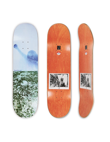 Polar Skate co Man With Window deck