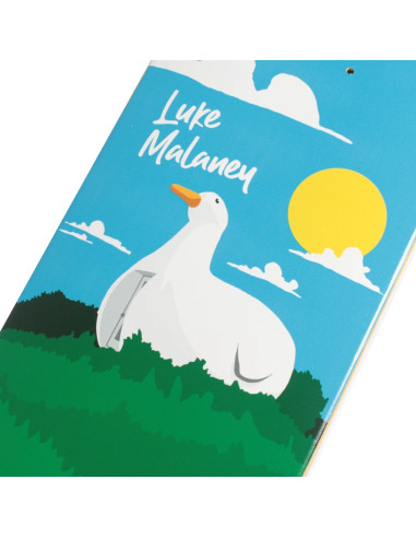 Traffic Skateboards Quack deck
