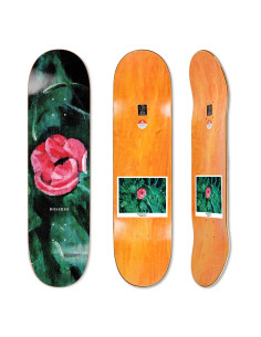 Polar Skate co Amaryllis...