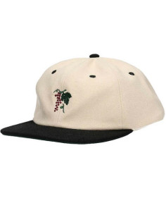 Passport Skateboards Life...