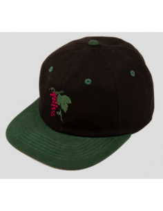 Passport Skateboards Life...