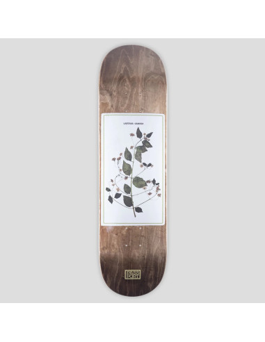 Passport Skateboards Invasive Series...