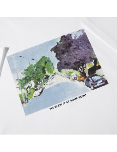 Polar Skate co We Blew it... 2