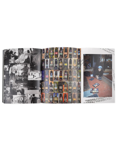 Everything Is Normal Book