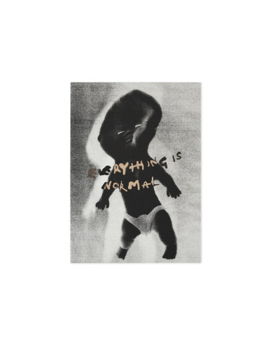 Everything Is Normal Book