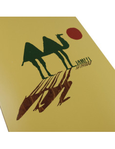 Jameel Douglas Solstice Board 2