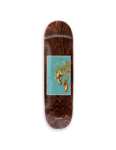 Native Fruit Series - Lime