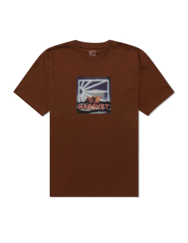Men On Fire Tee Brown