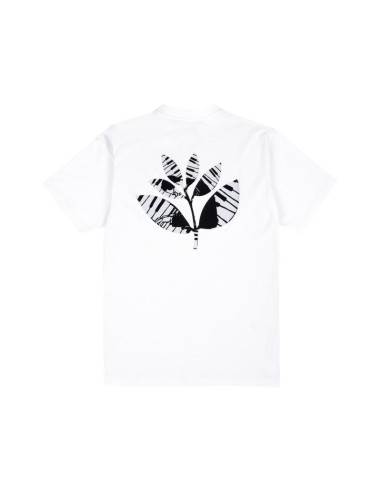 Magenta Skateboards Piano Plant tee...