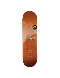 Leo Valls DOJO Board