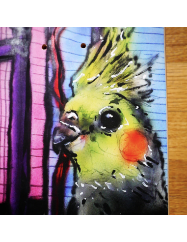 Snack Skateboards Enchillada deck