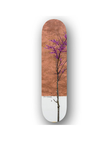 Plazaboards Tree deck