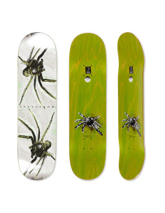 David Stenstrom - Spider