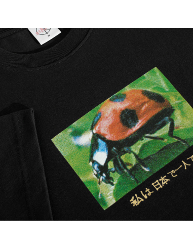 Ladybug - Black