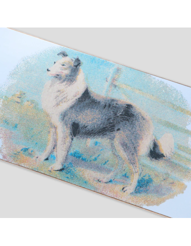 Hybrid Vigour Series - Collie