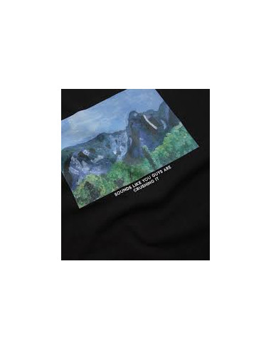 Polar Skate co Sounds Like You Guys...