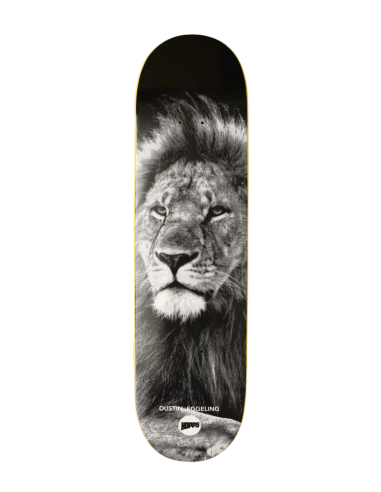 Dustin Eggeling - Lion Deck